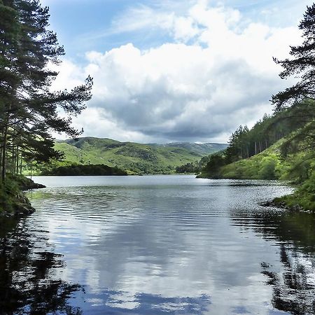 Kelpies Cottage Newton Stewart Εξωτερικό φωτογραφία