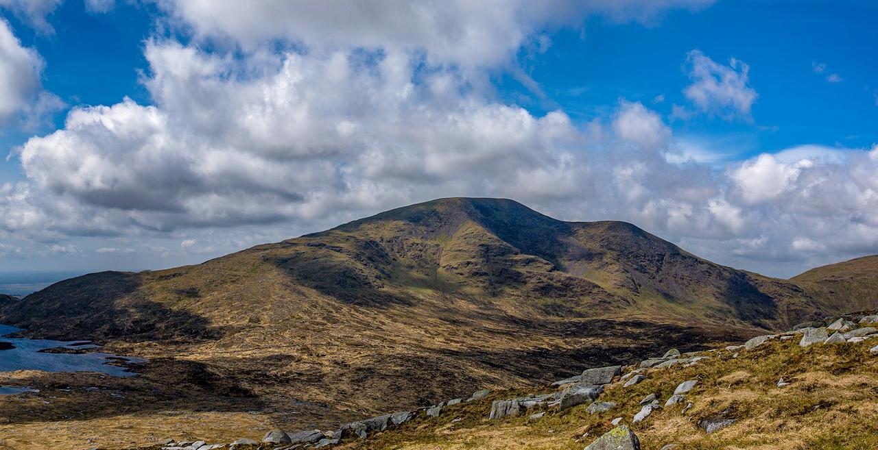 Kelpies Cottage Newton Stewart Εξωτερικό φωτογραφία